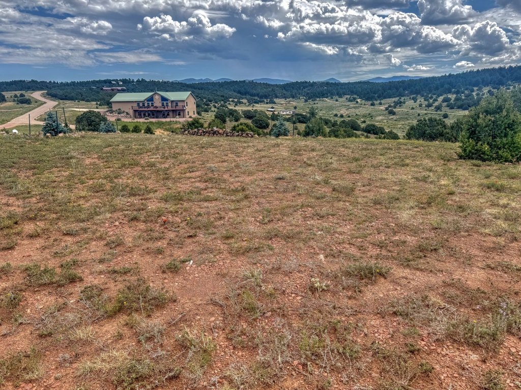 Picture 25
