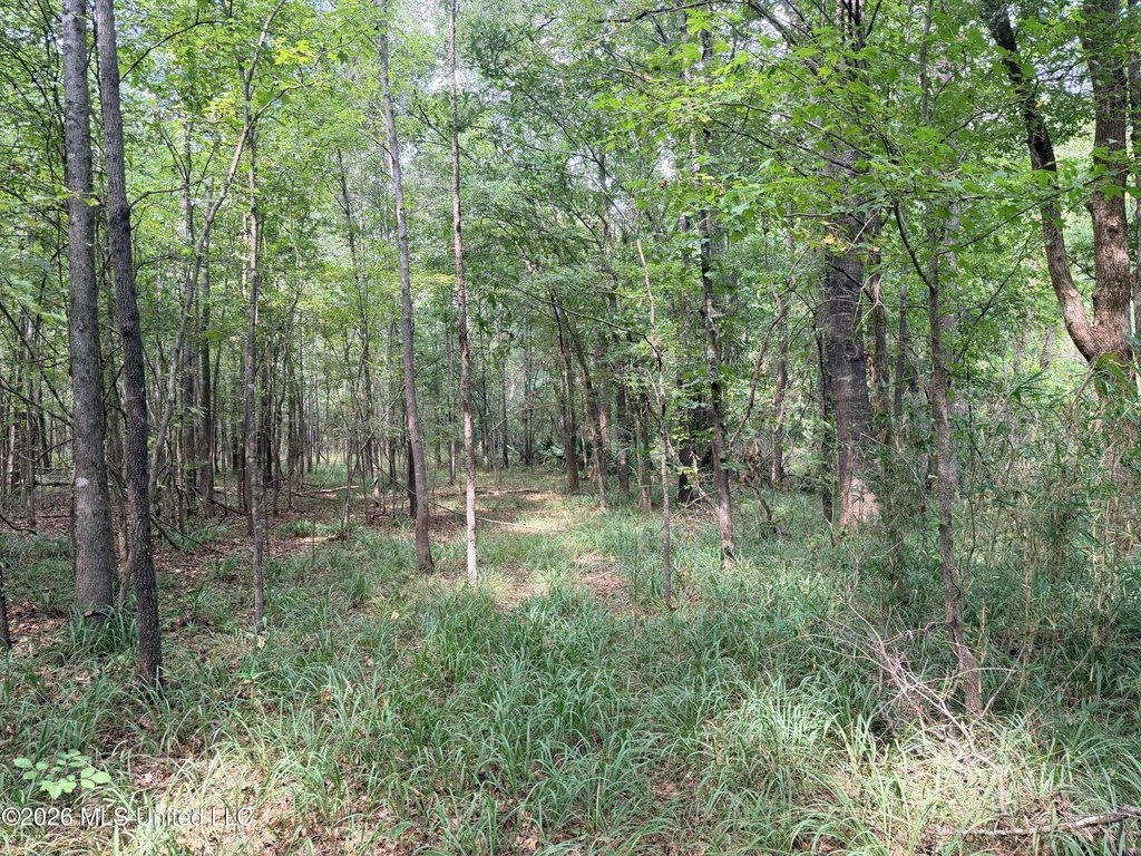 Picture 16