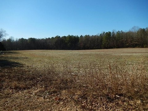 Large Parcel in Caroline County