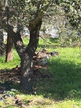 Residential Parcel in Coastal Cambria