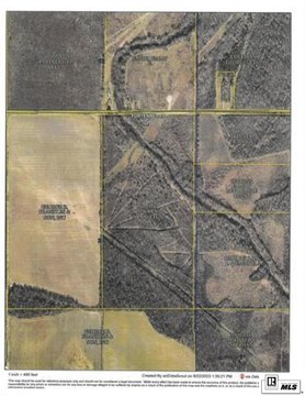 Wooded Hunting Tract with Food Plots