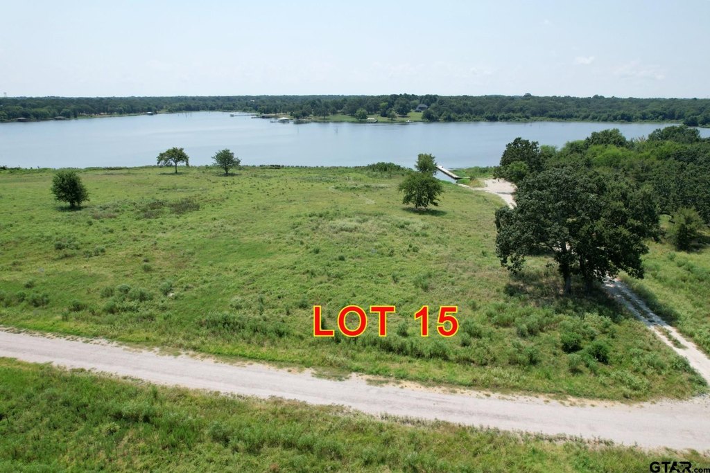 Picture 15