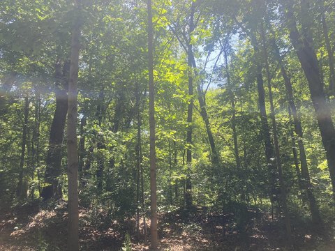 Two Acre Wooded Land Parcel