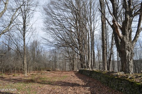 30 Acres of Untouched Land