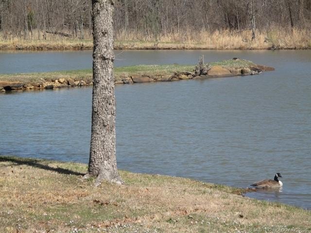 Picture 11