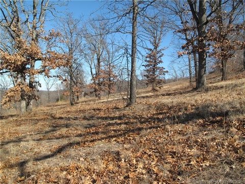Vacant Land, Cookson, OK