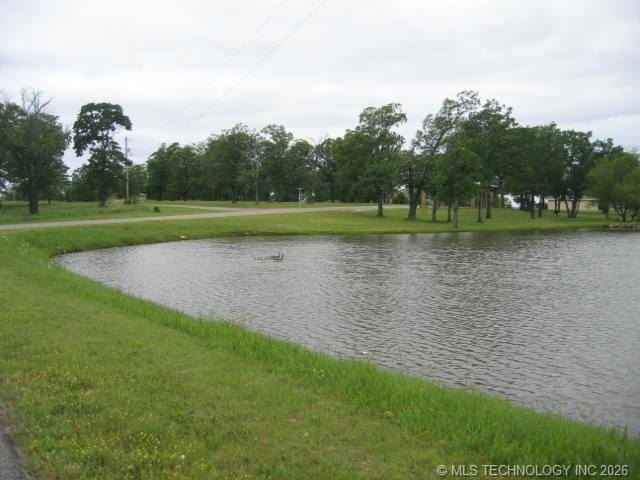 Picture 7