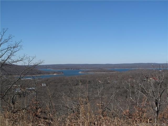 Picture 17