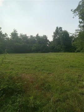 Half-Acre Cleared Land Plot