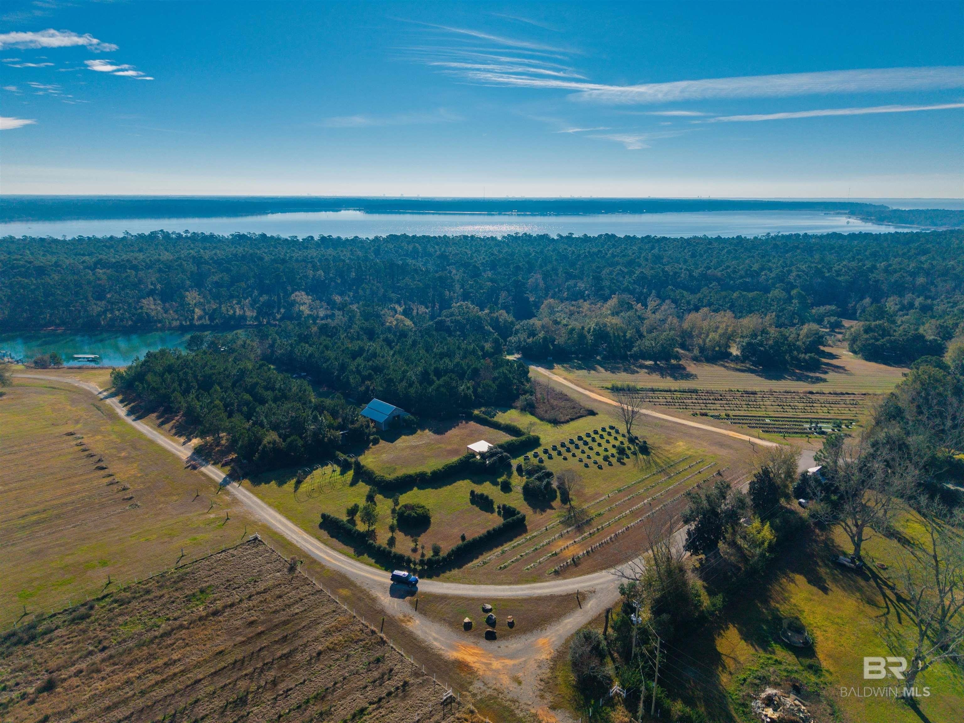 Organically Certified Blueberry Farm Opportunity
