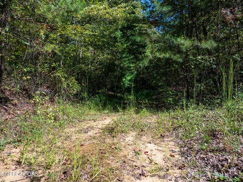 61 Acres of Tennessee Land