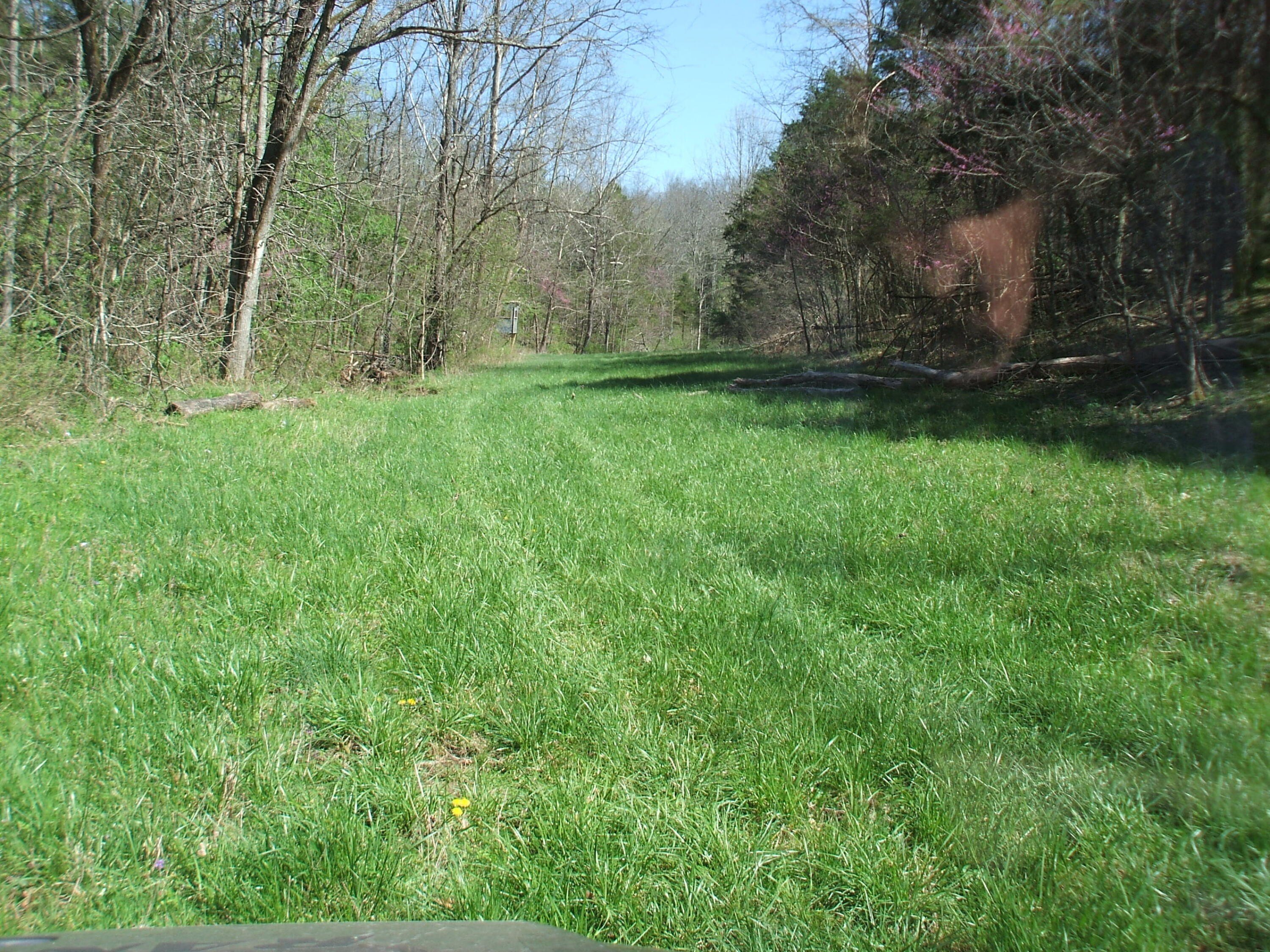 Lawrenceburg Land with Hunting Potential