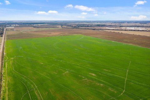 Cleared Subdividable Agricultural Tract