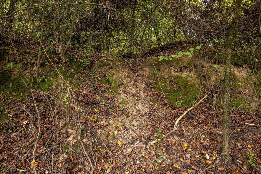 Picture 18