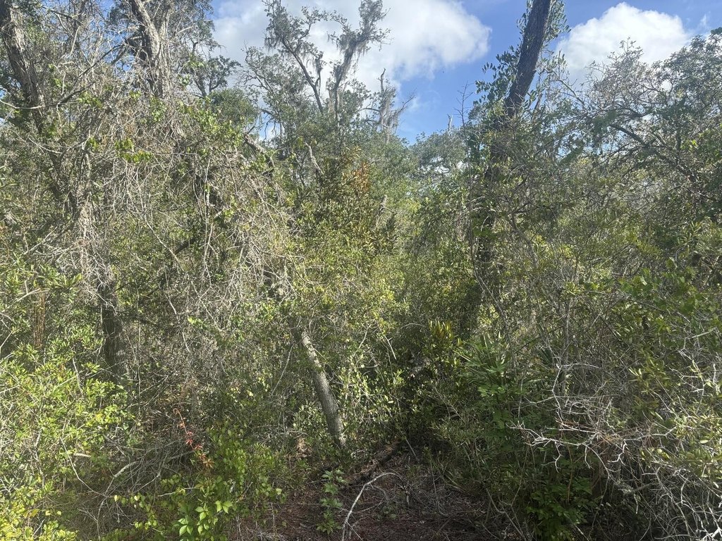 Picture 3