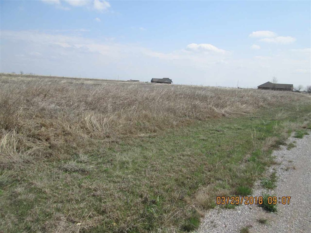 Picture 10