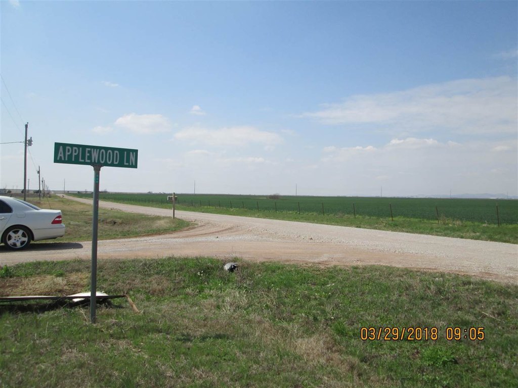 Picture 6