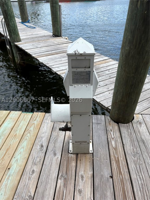 Picture 5