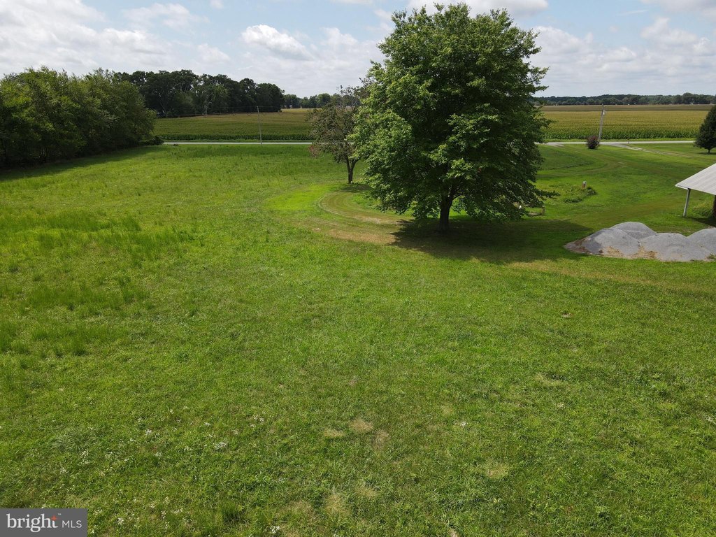 Picture 17