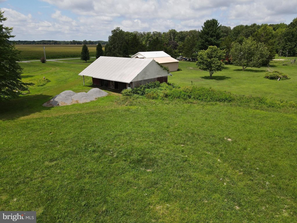 Picture 20