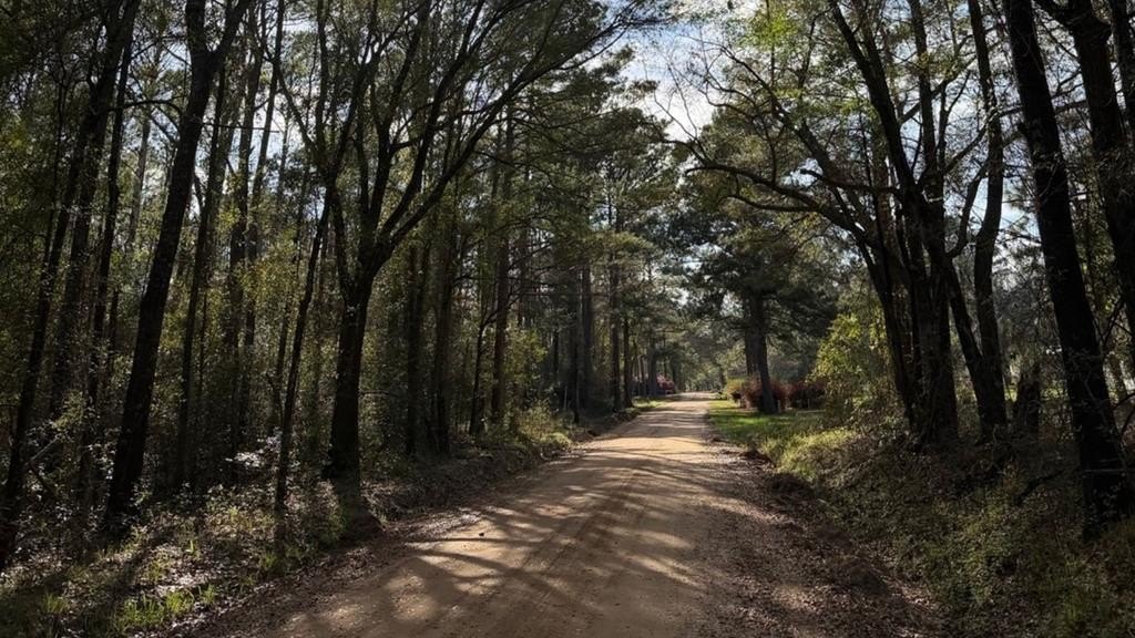 Land Near Bainbridge, Georgia
