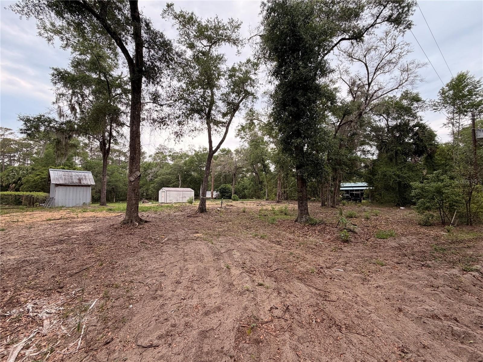 Agricultural Land Near Ocala Forest