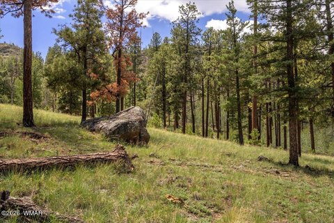 Land, Greer, AZ