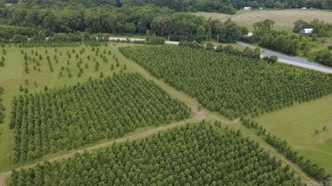 LAND - Mena, AR
