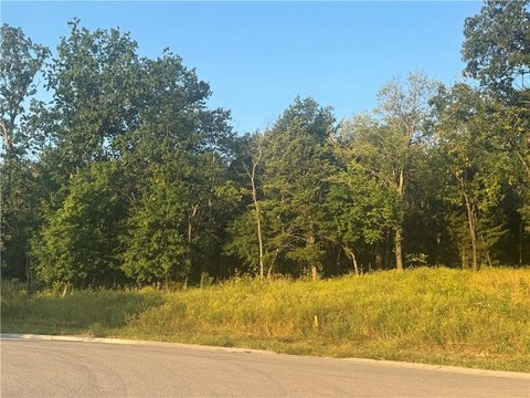 Residential Land in Oak Grove