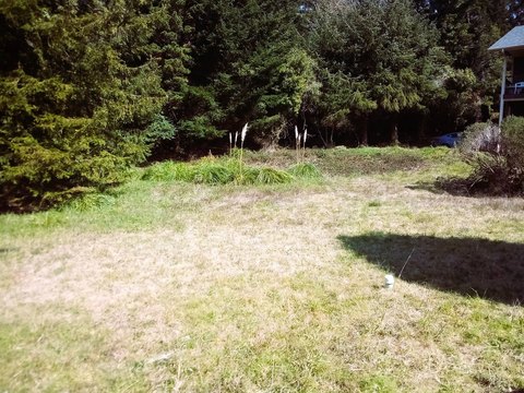Vacant Land Dream Home Site