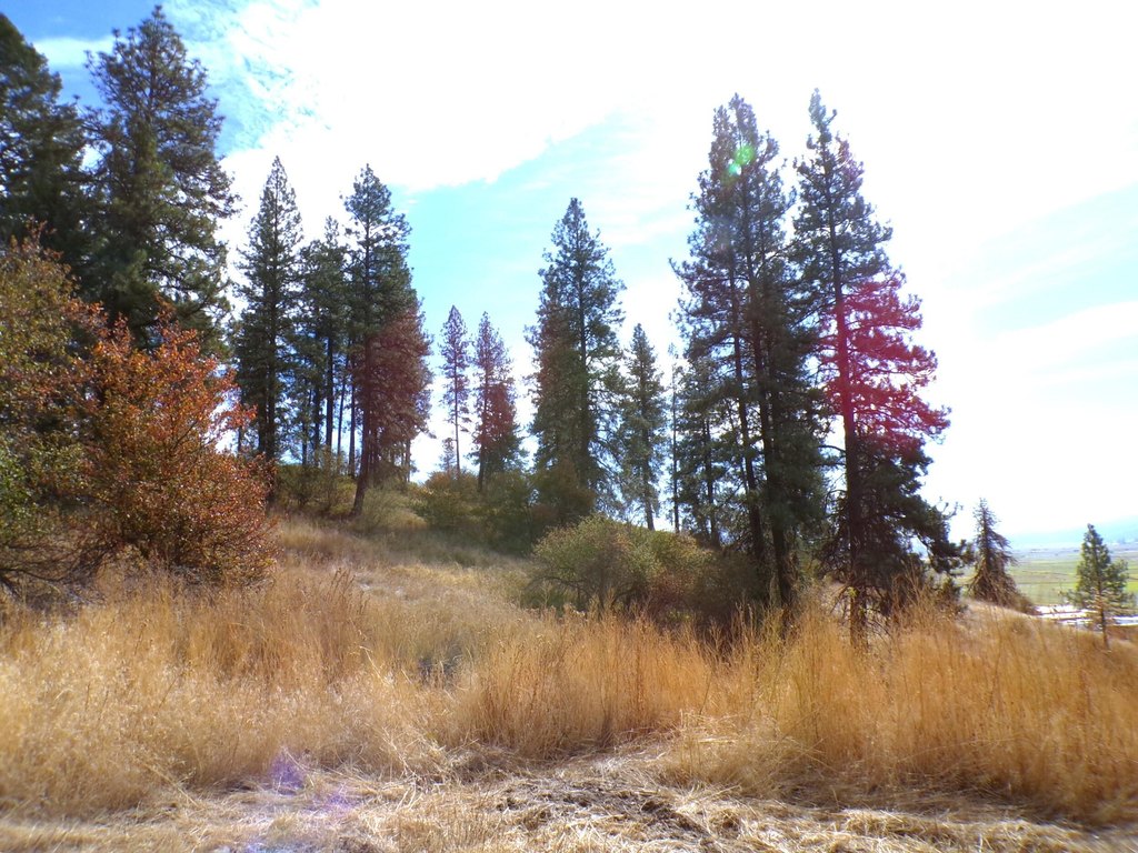 Picture 23
