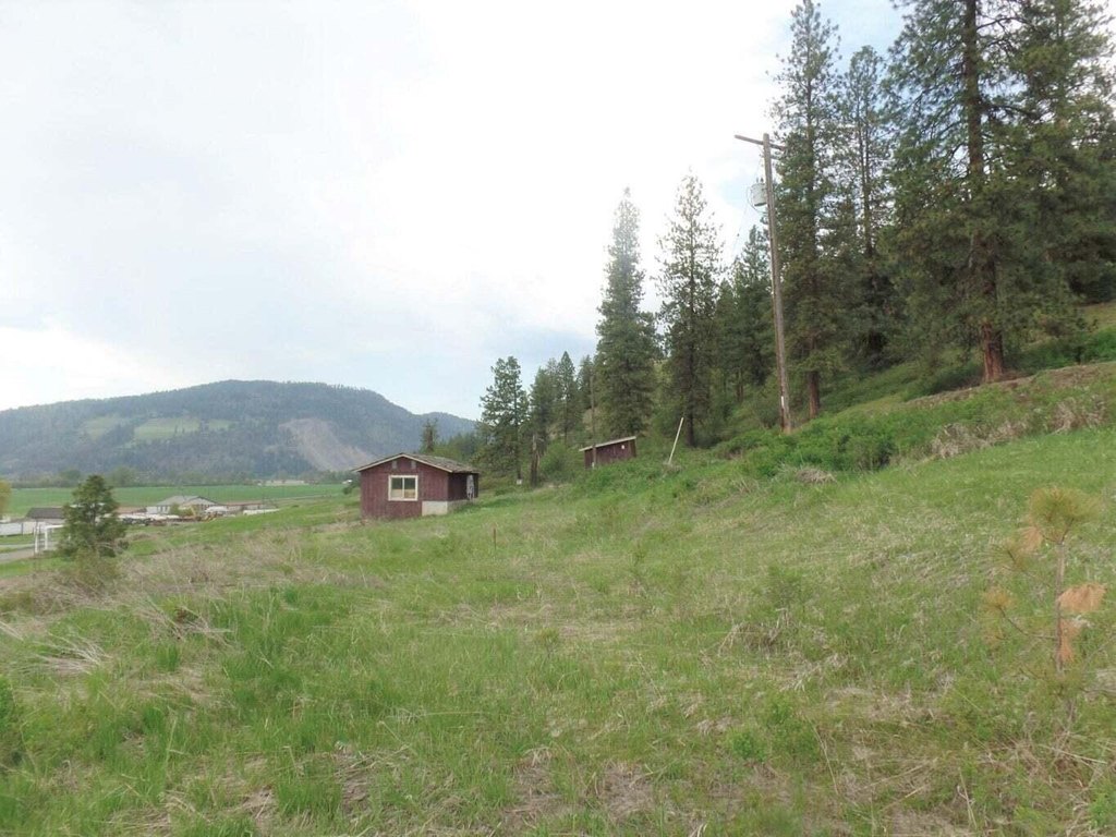 Picture 6