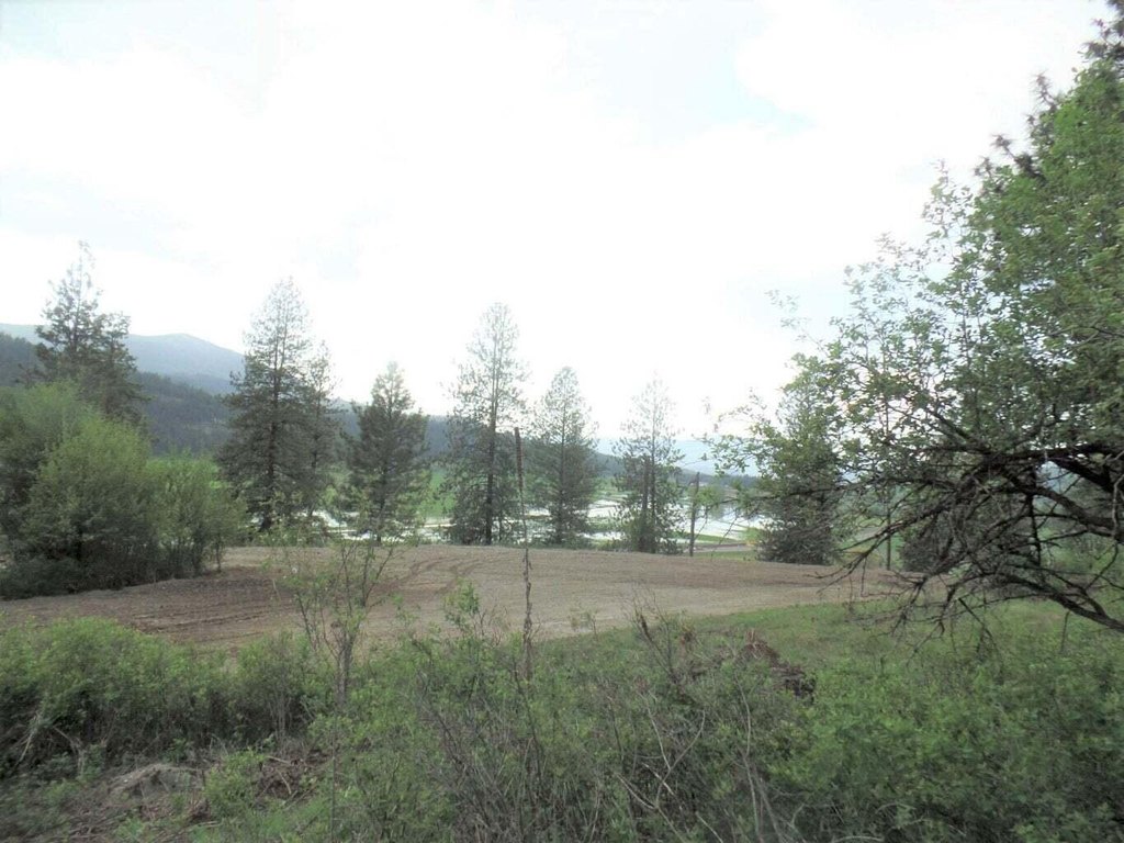 Picture 8