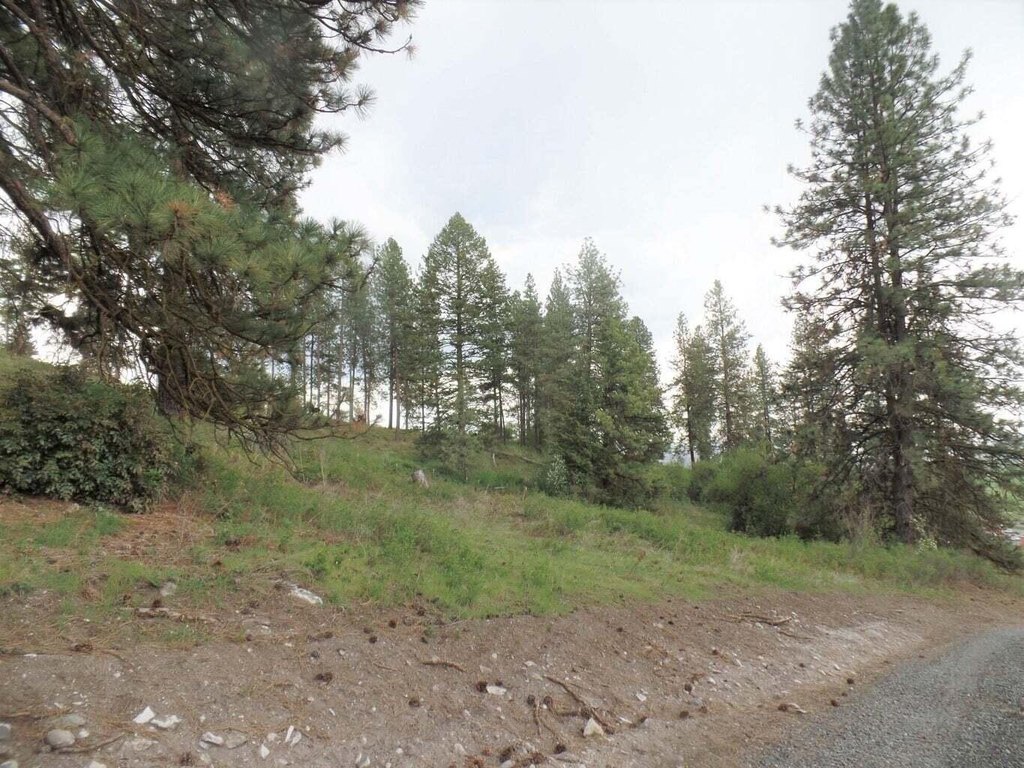 Picture 10
