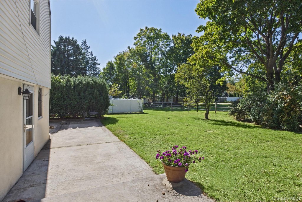 Picture 25