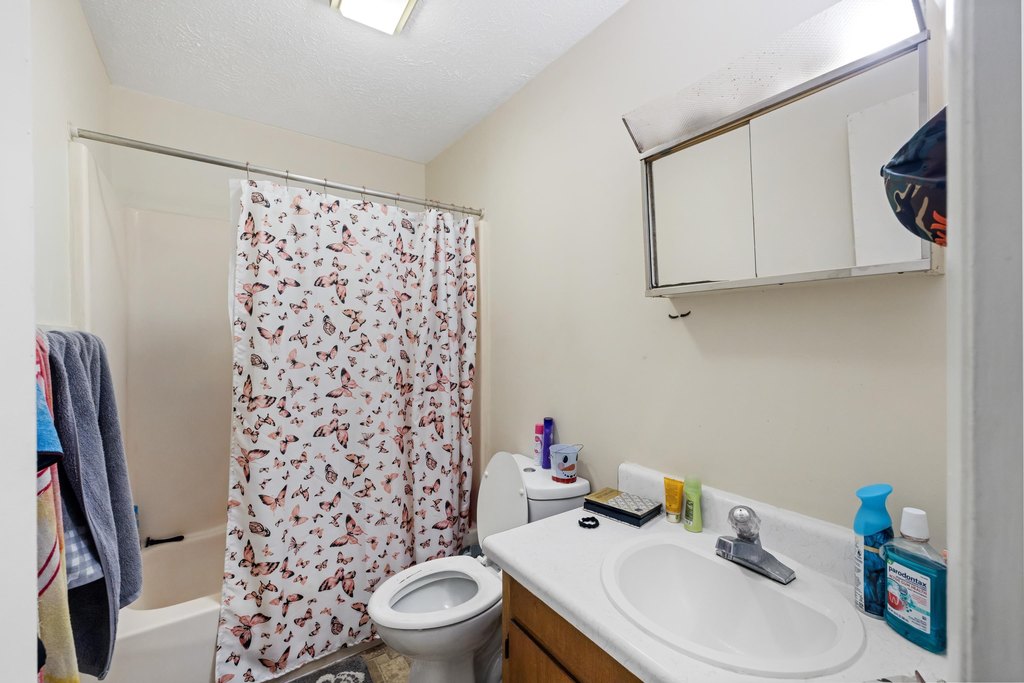 Picture 16