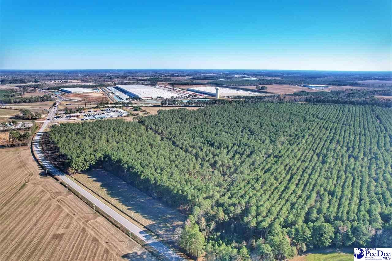 91.17 Acres Ideal Commercial Development