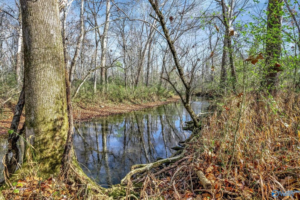 Picture 41