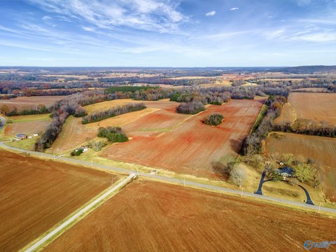 Land, NEW MARKET, AL