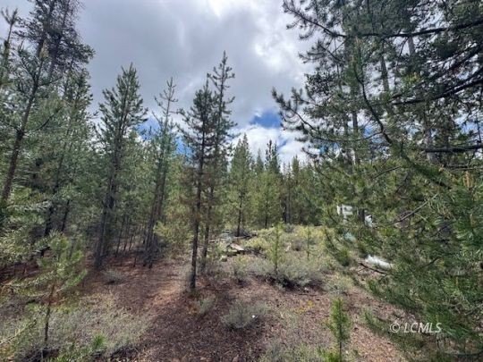 Picture 19