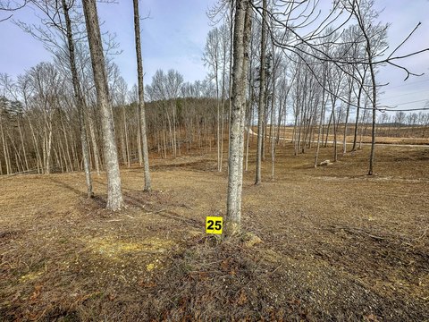 Land, East Bernstadt, KY