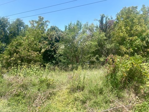 Land, Ava, MO
