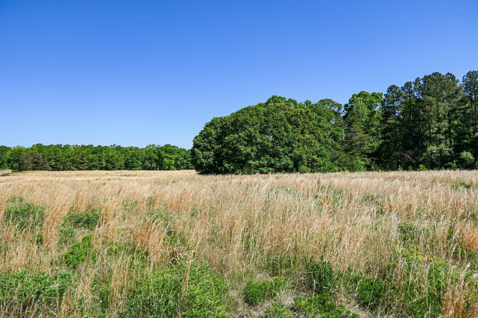 Gaffney Homesite with Acreage