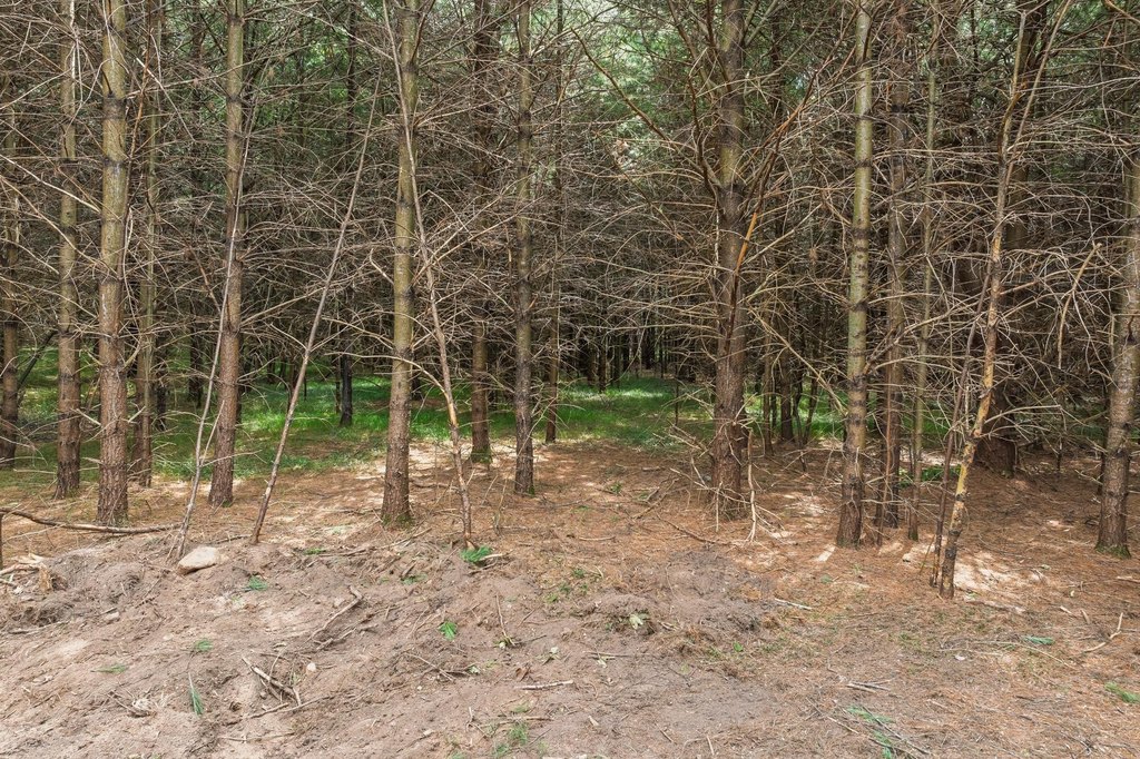 Picture 12