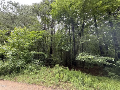 Wooded Lot Near Kerr Lake