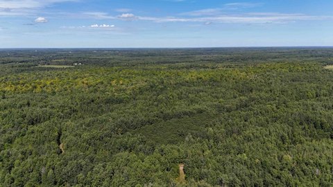 Wooded Recreational Land