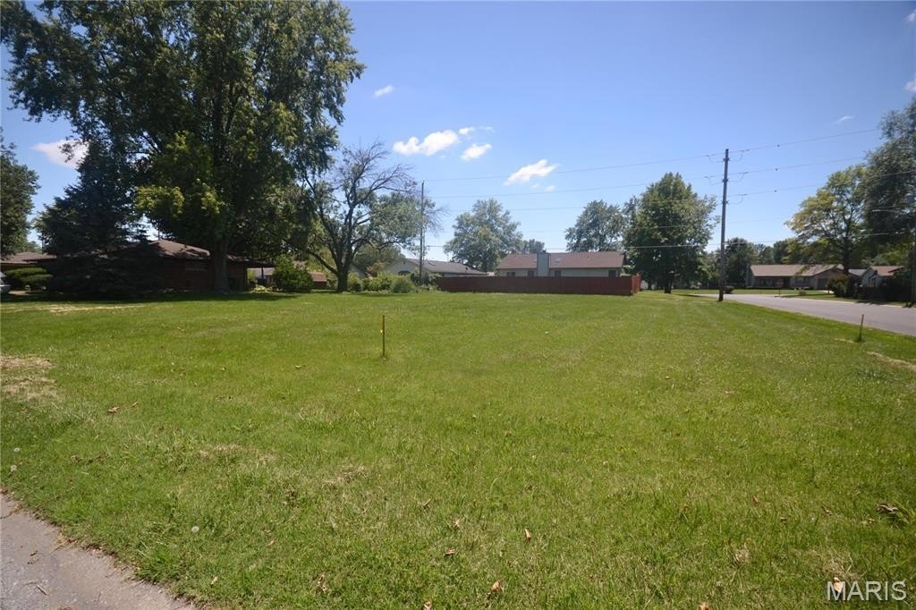 Picture 2