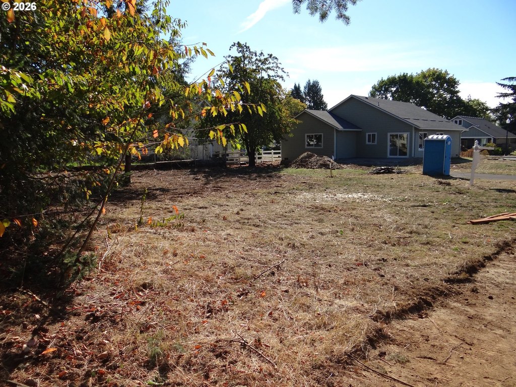 Picture 6