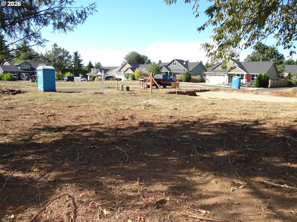 Picture 7
