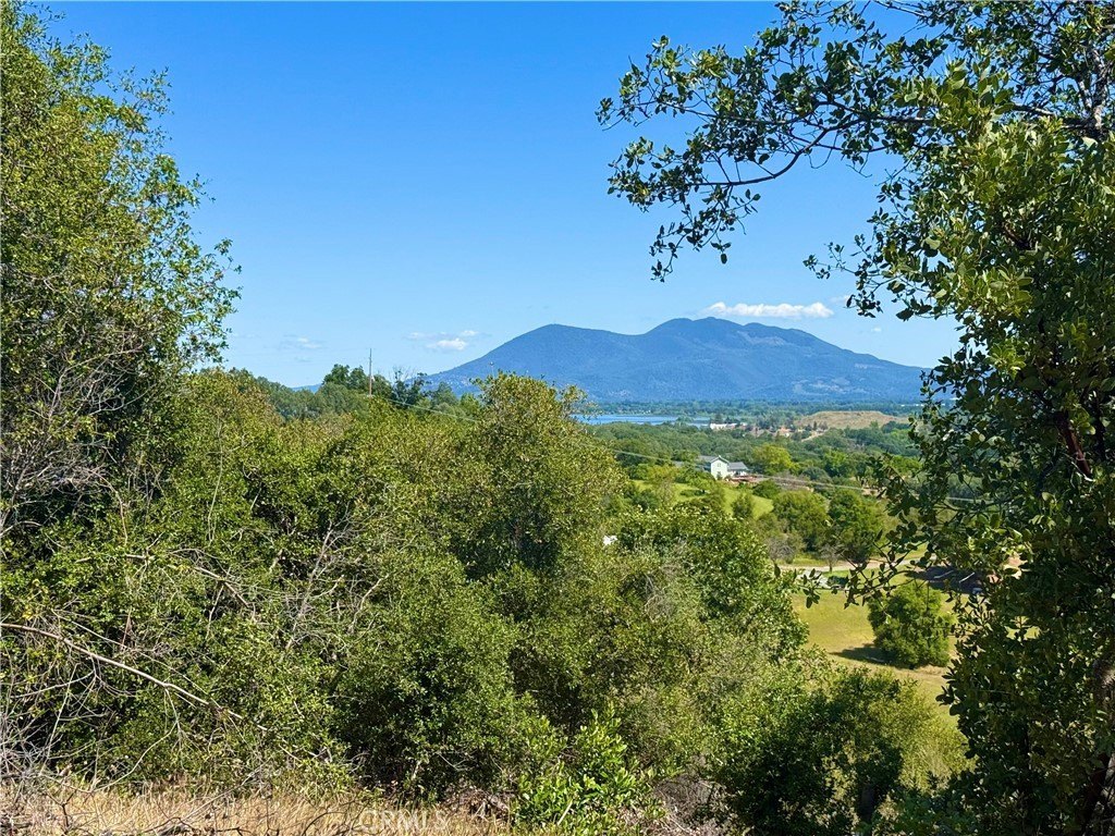 Picture 11
